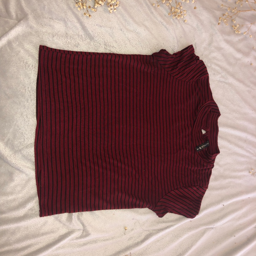 Maroon and Black Crop Top